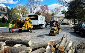 Best Pest Control for Lawns  in Milford, IN