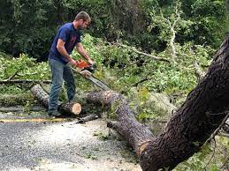 Best Aeration Services  in Milford, IN