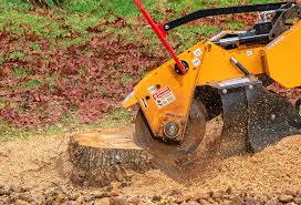 Best Lot and Land Clearing  in Milford, IN