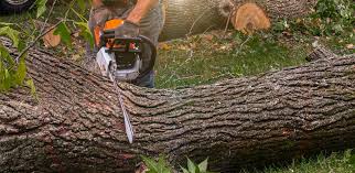 Best Lawn Watering Services  in Milford, IN