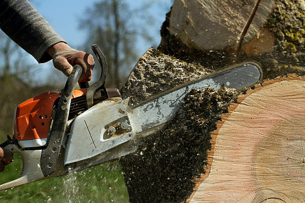 Best Commercial Tree Services  in Milford, IN
